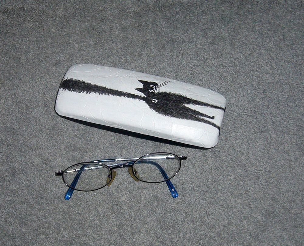 Pouzdro na brýle - kočička