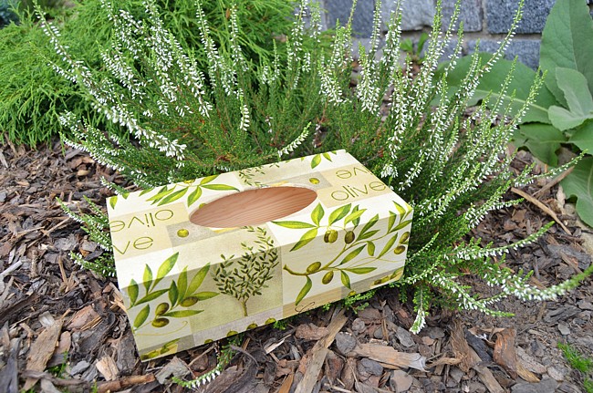 krabička na kapesníky olivy