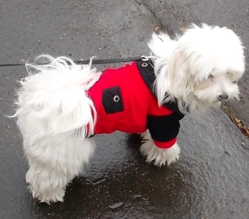 Mikina červená-SLEVA 40%-VˇYPRODEJ VELIKOSTI S !!