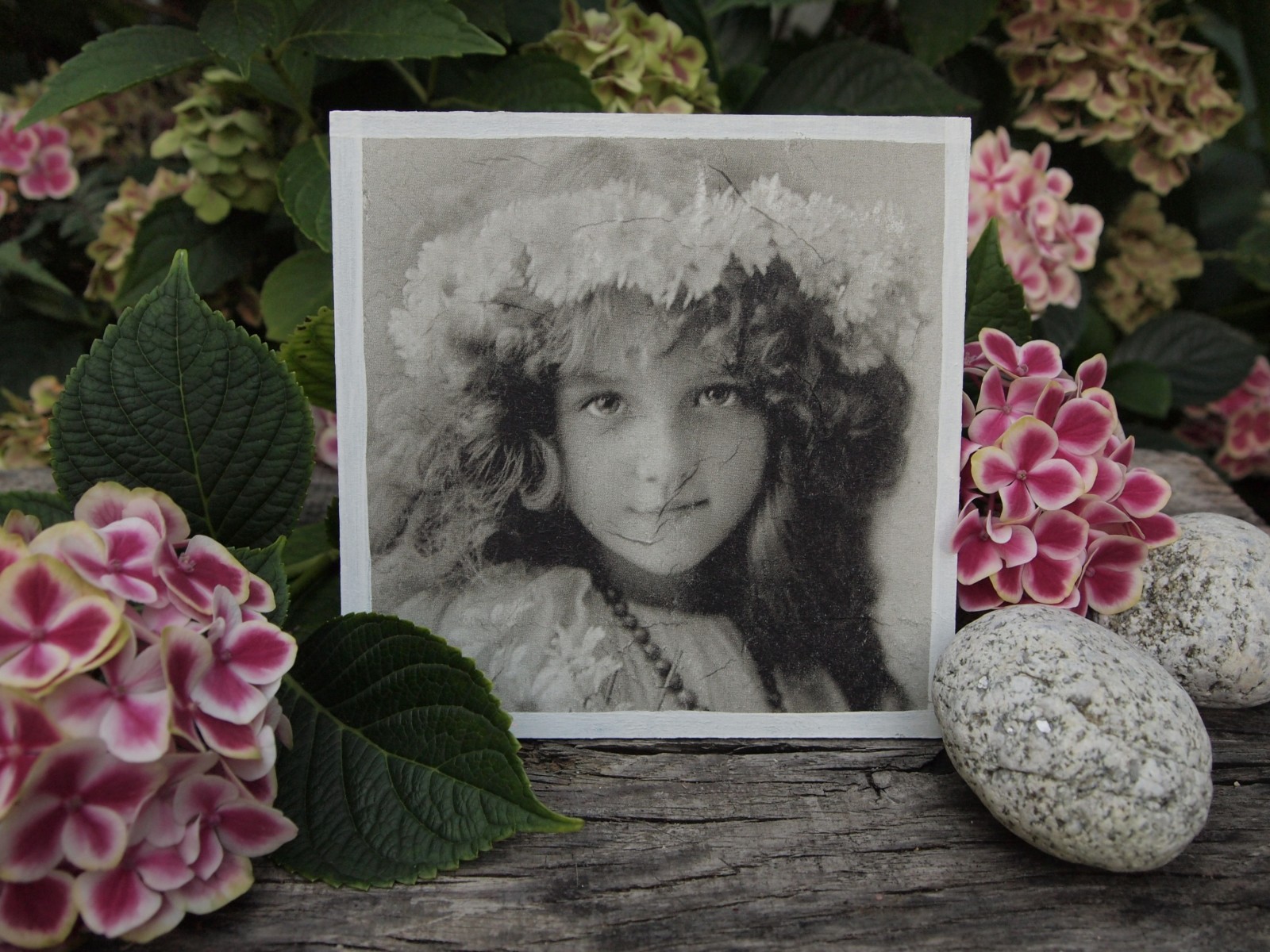 holčička s věnečkem