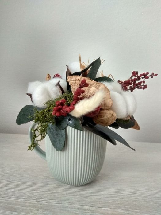 Bavlníková pohádka