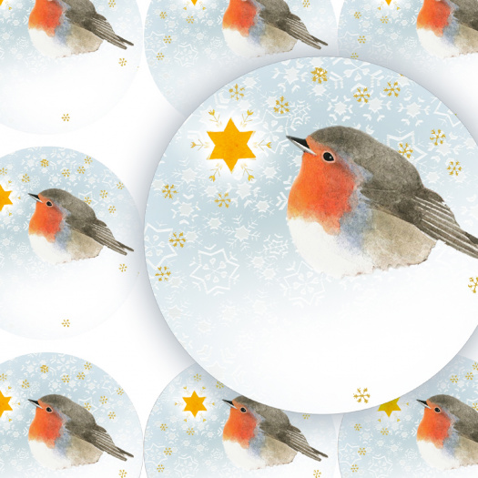 HVĚZDIČKA-DOPLŇ JMÉNO - jmenovky