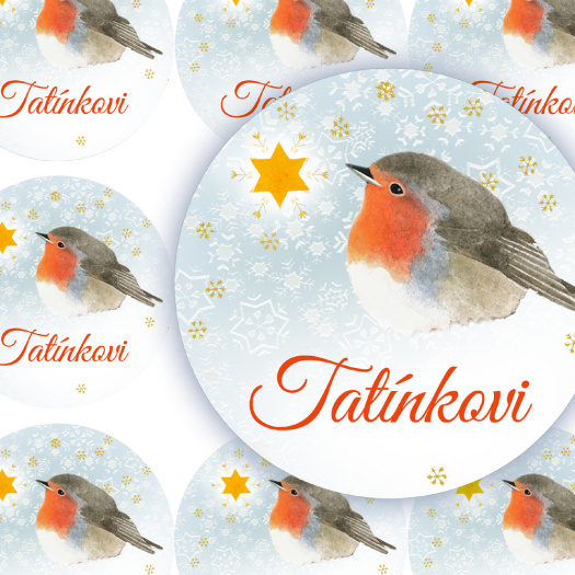 HVĚZDIČKA-TATÍNKOVI - jmenovky
