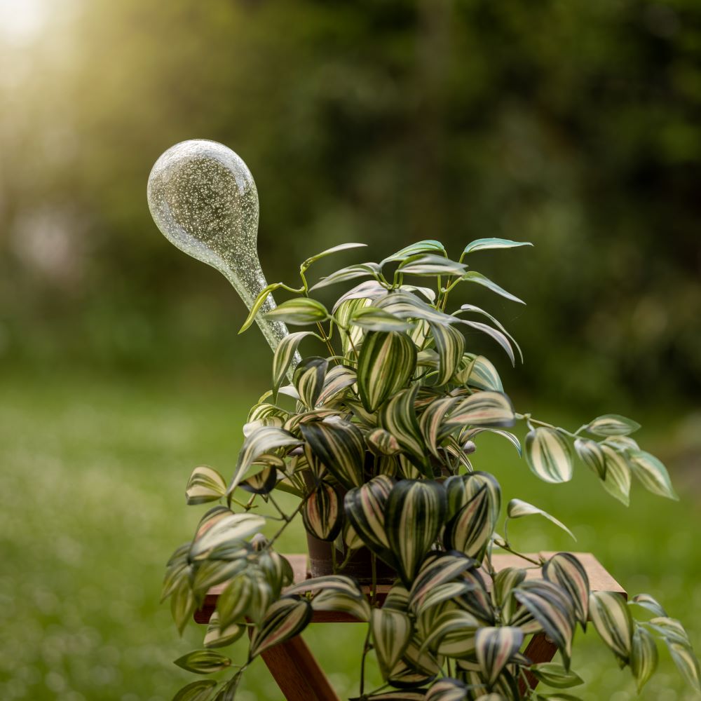 Skleněný zavlažovač do květináče fluorescenční Modrý