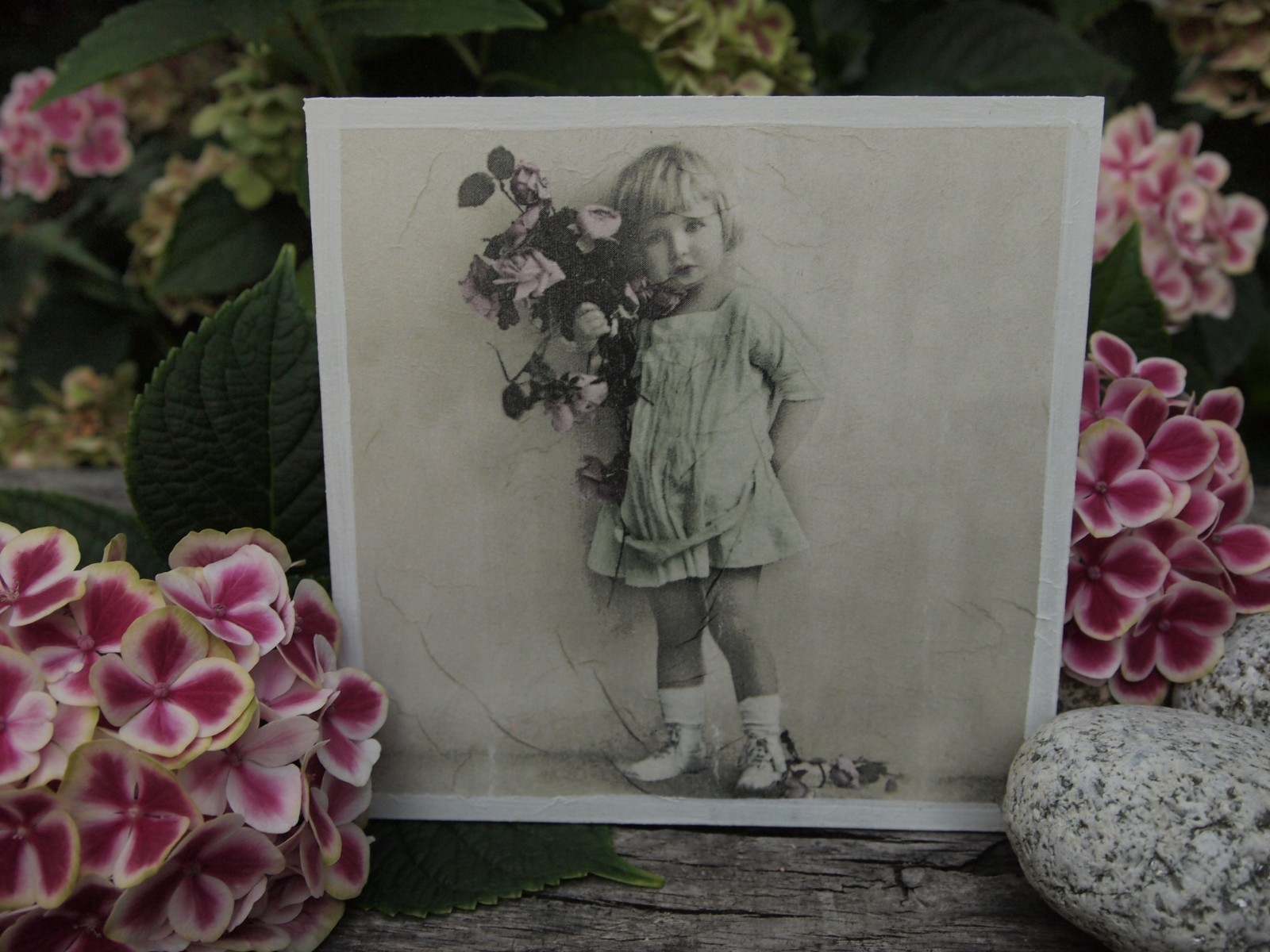 holčička s kyticí růží