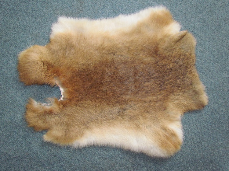 Králičí kožešina 2.