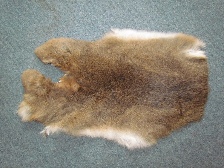 Králičí kožešina 11.