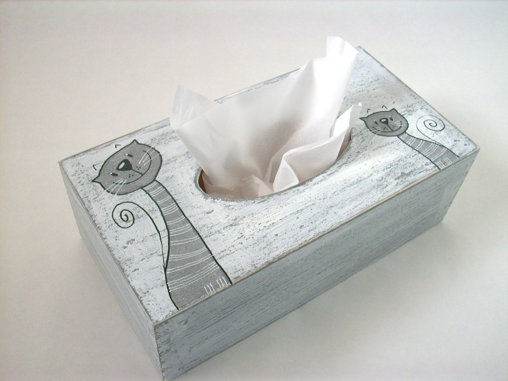 Krabička na kapesníčky... no.351