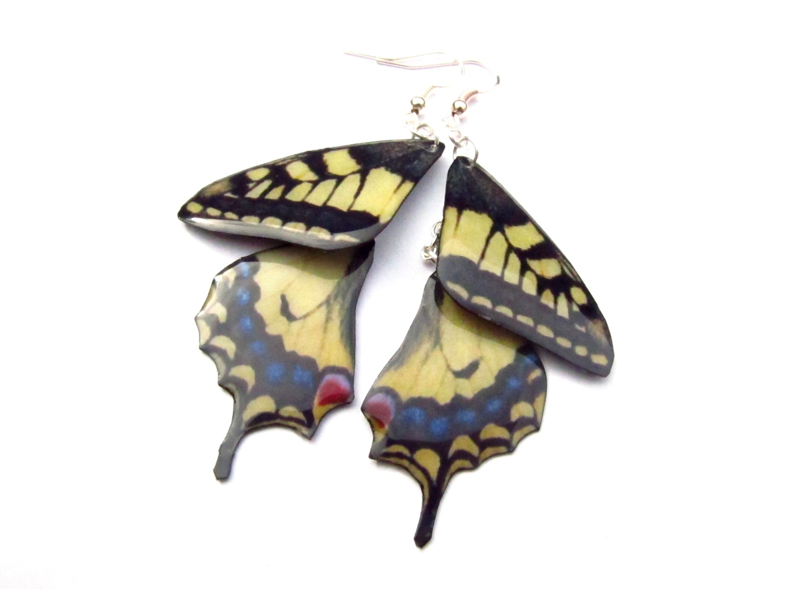 Motýlí křídla - otakárek II.