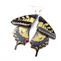 Motýlí křídla - otakárek II.