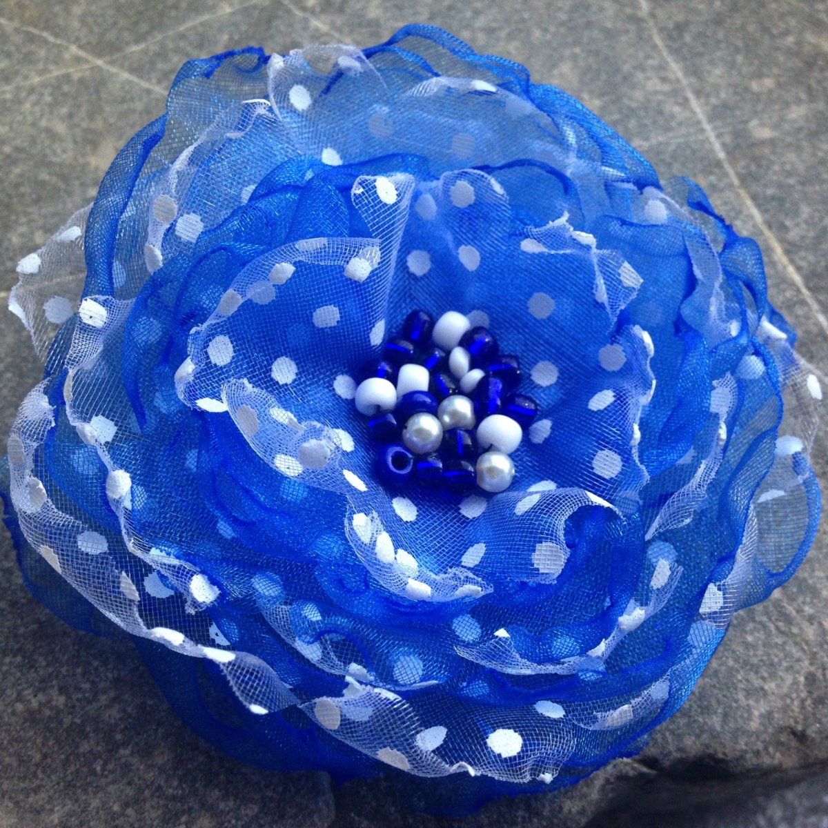 Modro bílá chrpa 2