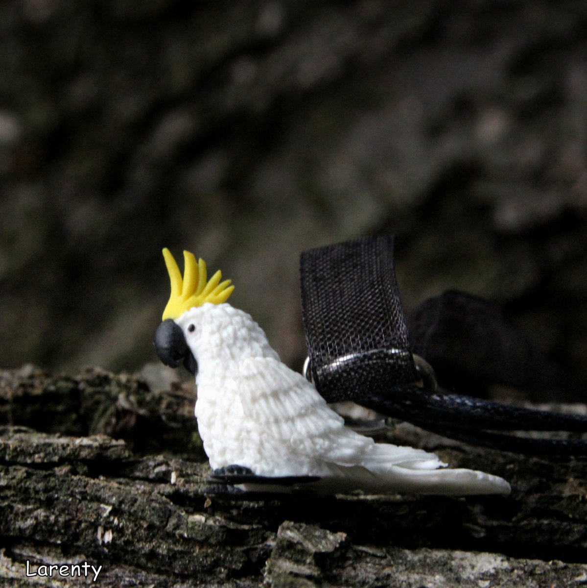 mláďátko papouška Kakadu