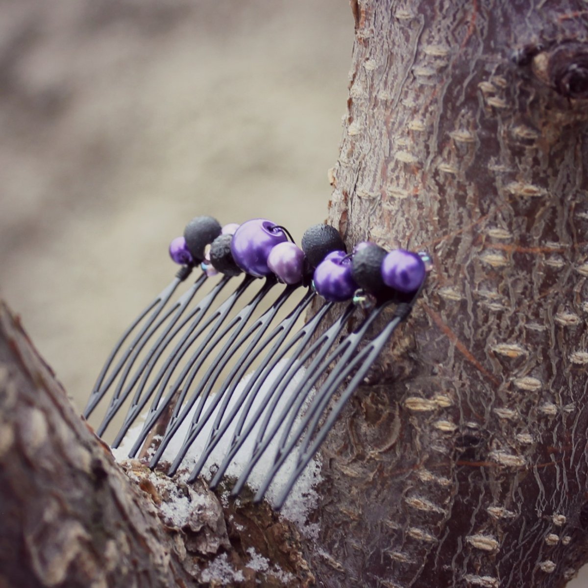 Hřebínek - černofialový