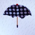 Brož: Puntíkatý deštníček  