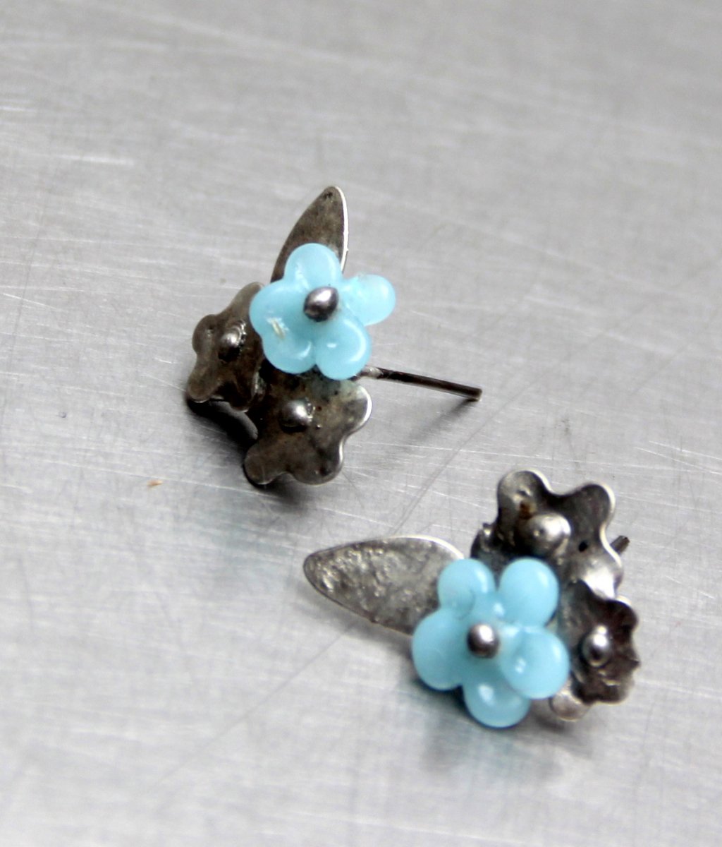 NÁUŠNICE POMNĚNKOVÉ NEBE