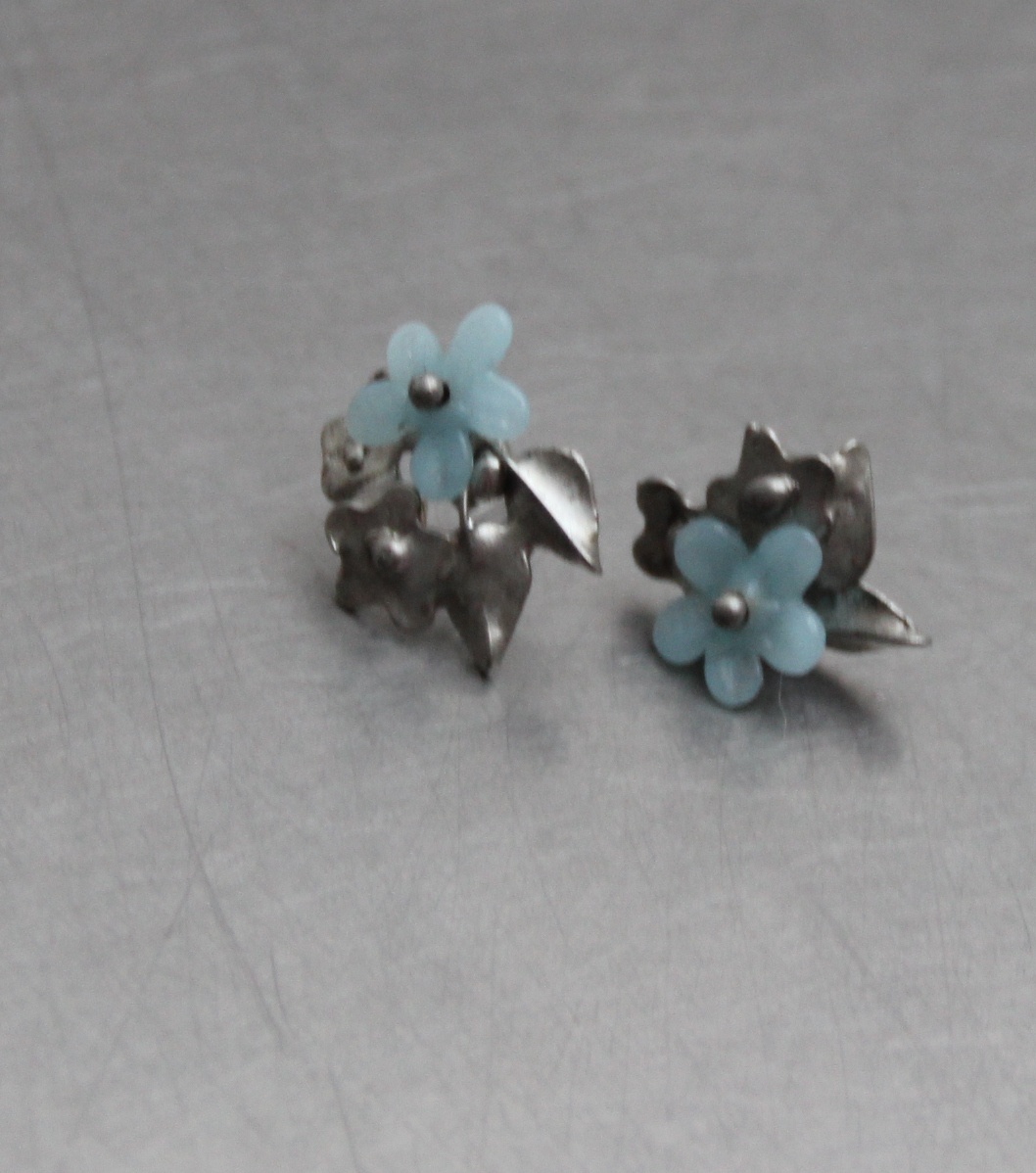 NÁUŠNICE POMNĚNKOVÉ NEBE