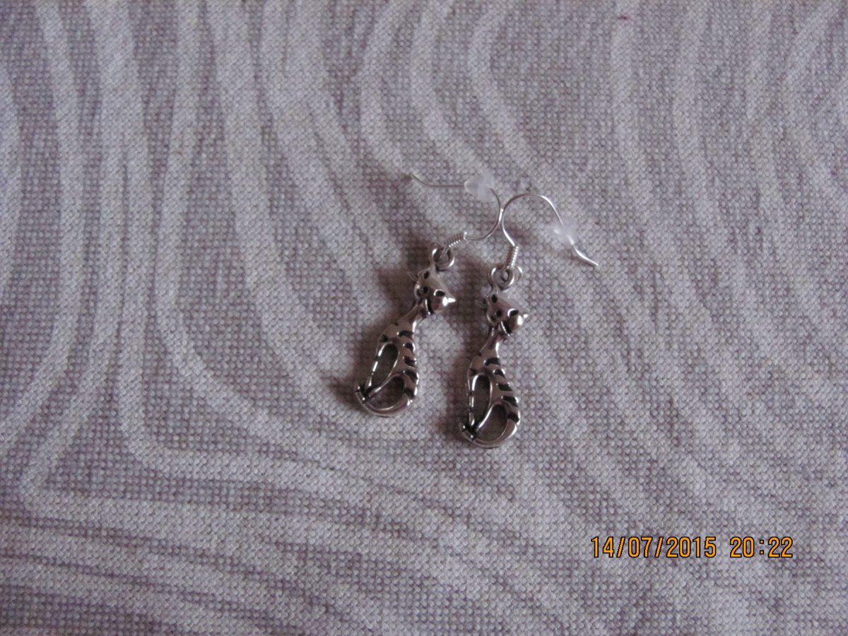 NÁUŠNICE - kočičky