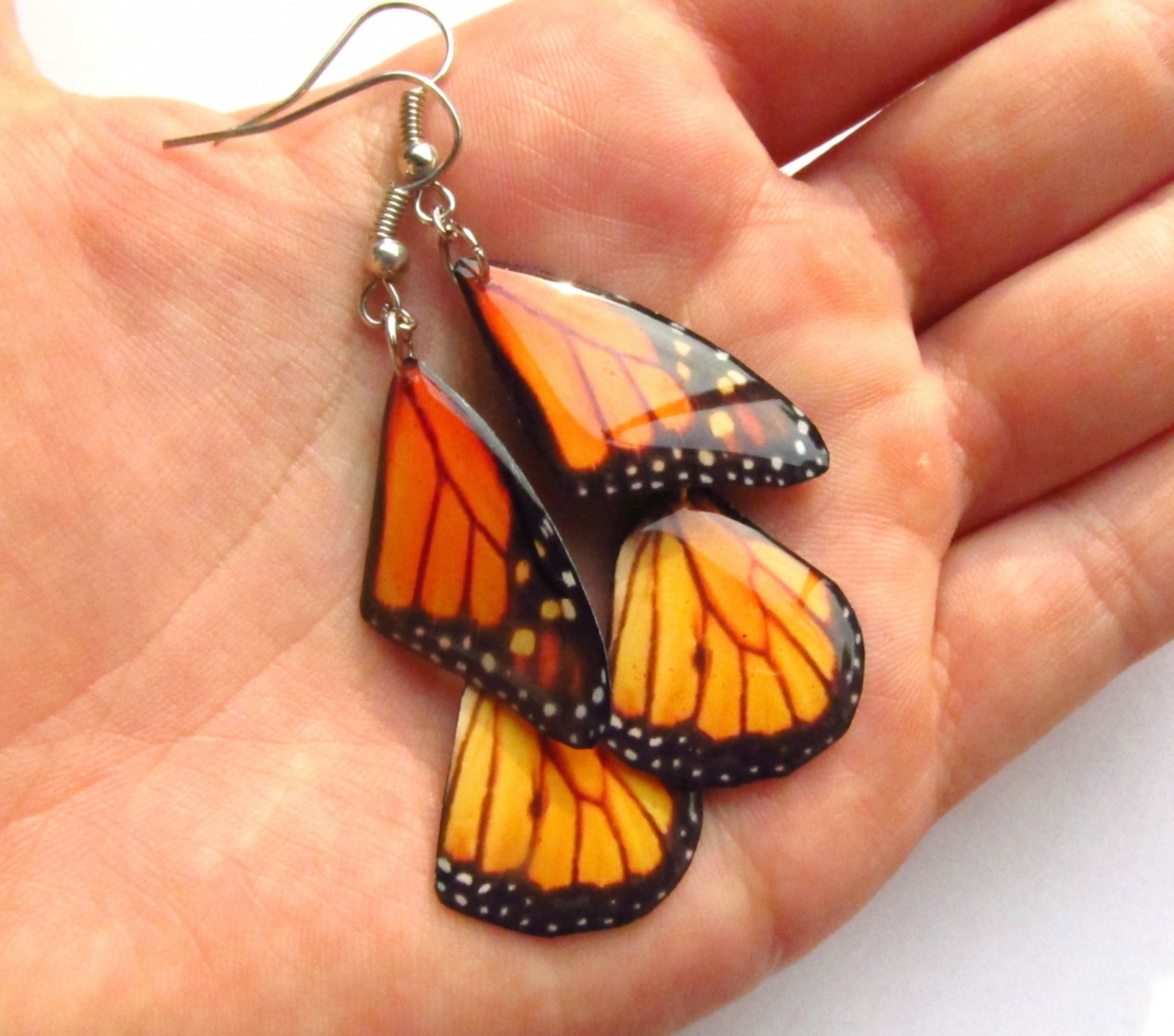 Motýlí křídla - monarcha IV.