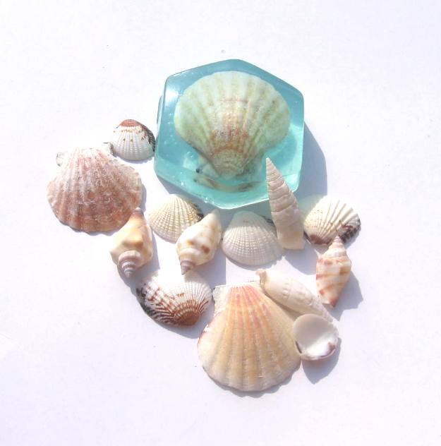 "VZPOMÍNKA NA MOŘE" No. 2