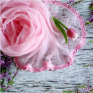 Jabloňkový - průhledný růžový šál