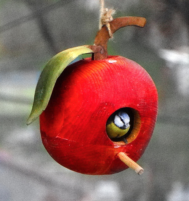 ptačí krmítko jablko