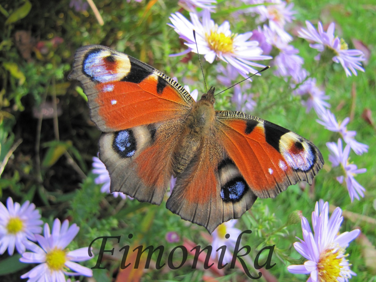 Ještě si užívám babí léto 