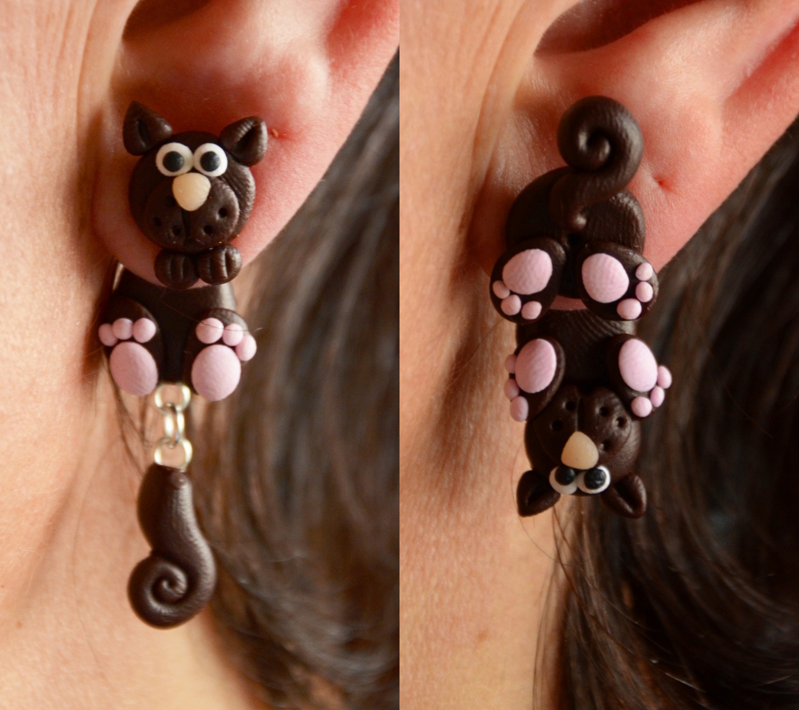 Kočičky v hnědém