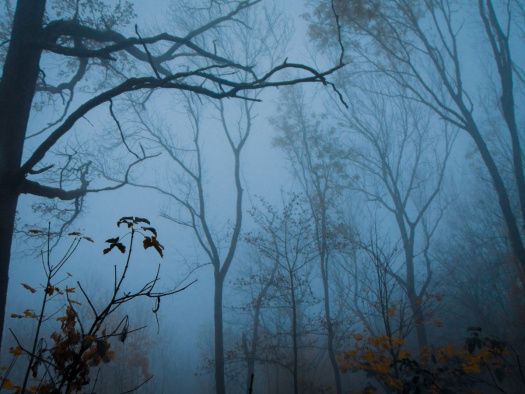 Podzimní mlha Fotoplakát