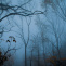 Podzimní mlha Fotoplakát