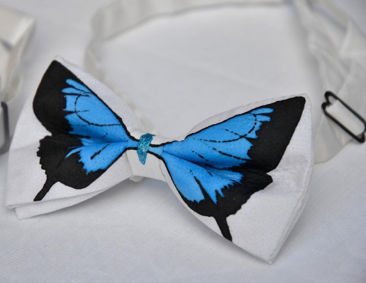 Motýlek - modrý