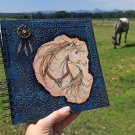Pohádkové album s koněm 