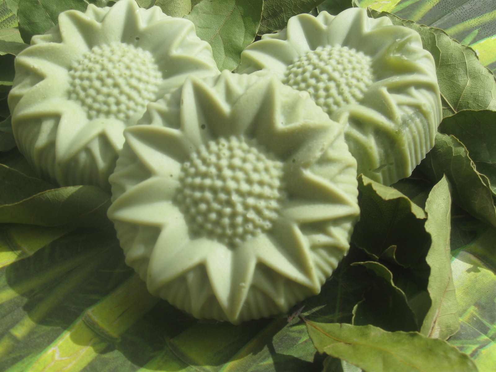 Luxusní Tuhý Šampon „Laurus pro vítěze“