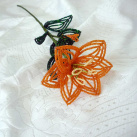 Korálkové lilie - oranžová