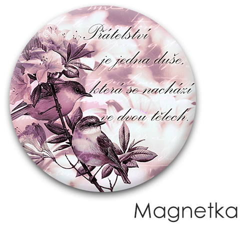Dvě duše v 1 těle - Magnet