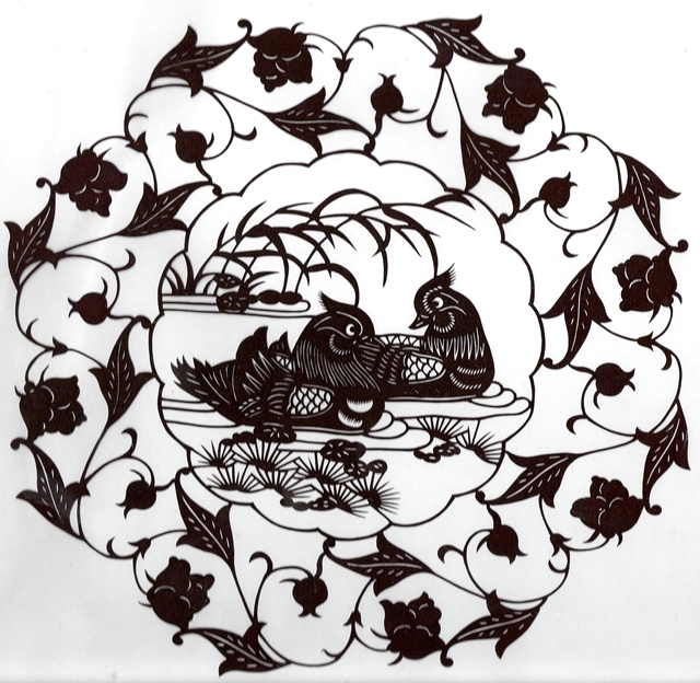 Kachničky mandarinské  - černé