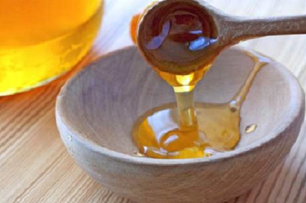 Včelí med medovicový 2016