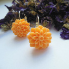 Meruňkové kytičky