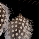 Náušnice - perlička kropenatá