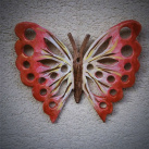 Motýl II.