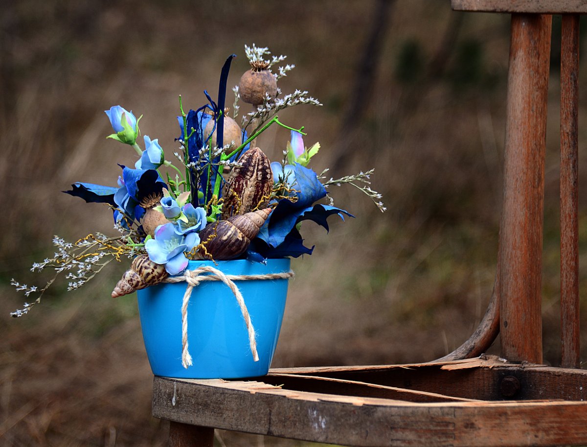 modré aranžmá s modrými listy... 