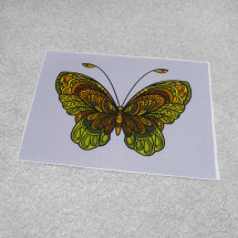 Bavlněný panel s motýlem - zeleno-hnědý