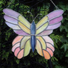 Motýl 