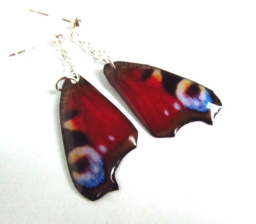 Motýlí křídla - babočka