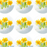 NARCISY - samolepky