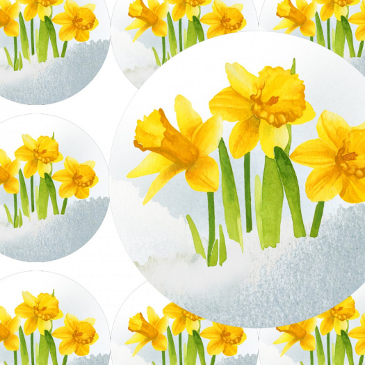 NARCISY - samolepky