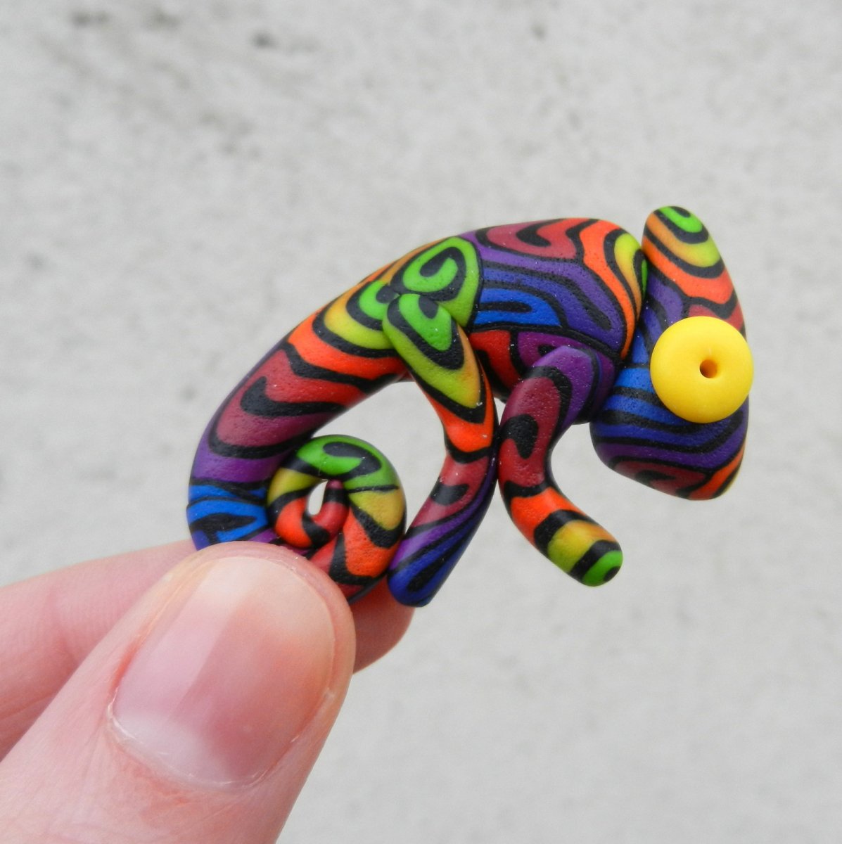 Chamík broží duhový