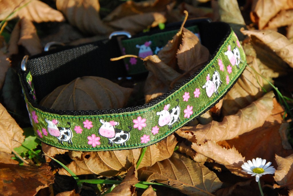 Obojek polostahovací - kravičky