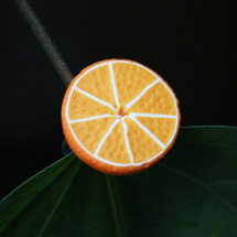 Pomeranč prstýnek