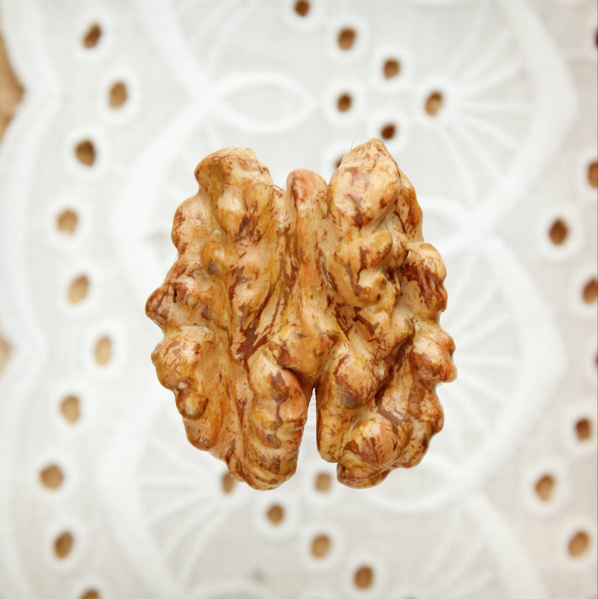 Vlašský ořech (brož)