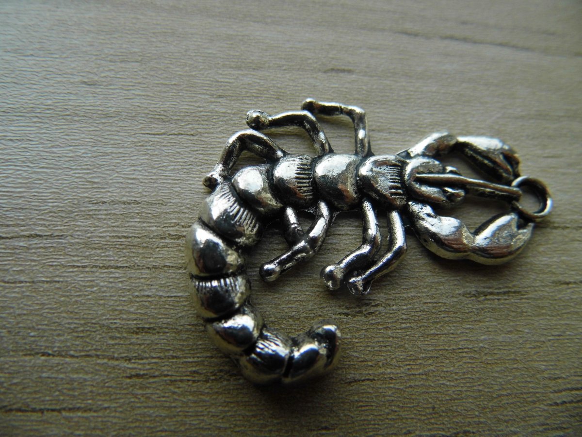 přívěsek štír /39x29/